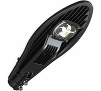 Уличный консольный светодиодный светильник LEDCRAFT Кобра 50 Ватт 4000К 1649060014