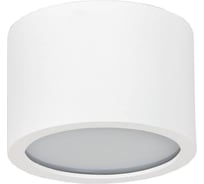 Потолочный светильник ТопДекор Tubo IP P1 10