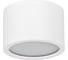 Потолочный светильник ТопДекор Tubo IP P1 10 1