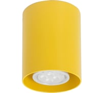 Потолочный светильник ТопДекор Tubo8 P1 16