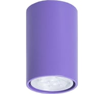 Потолочный светильник ТопДекор Tubo6 P1 22