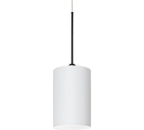 Подвесной светильник ТопДекор Roller S8 12 01g