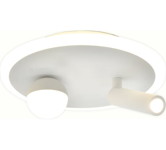 Настенно-потолочный свет ESCADA 20022SMA/01 LED 22W 4000K белый 20022SMA/01LED SWH