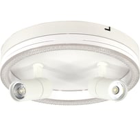 Настенно-потолочный свет ESCADA 20044SMA/03 LED 43W 4000K белый 20044SMA/03LED WH