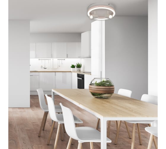 Настенно-потолочный свет ESCADA 20044SMA/03 LED 43W 4000K белый 20044SMA/03LED WH
