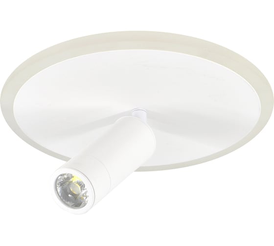 Настенно-потолочный свет ESCADA 20046SMA/01 LED 20W 4000K белый 20046SMA/01LED WH