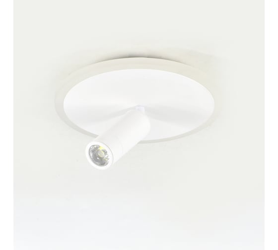 Настенно-потолочный свет ESCADA 20046SMA/01 LED 20W 4000K белый 20046SMA/01LED WH