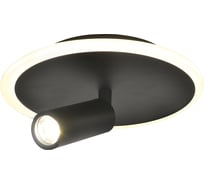 Настенно-потолочный свет ESCADA 20046SMA/01 LED 20W 4000K черный 20046SMA/01LED BK