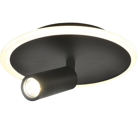 Настенно-потолочный свет ESCADA 20046SMA/01 LED 20W 4000K черный 20046SMA/01LED BK