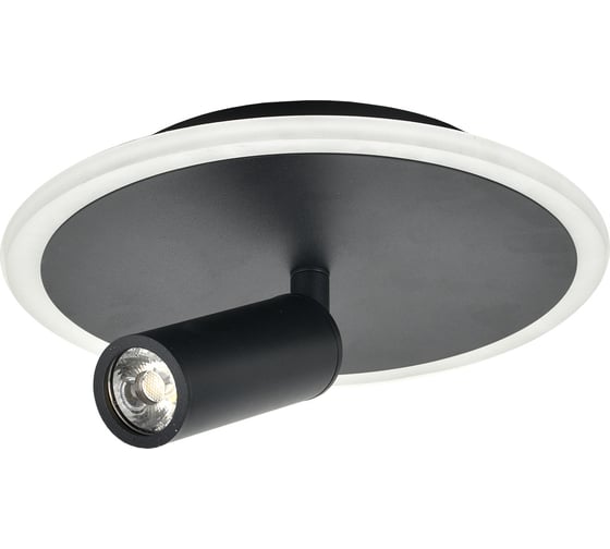 Настенно-потолочный свет ESCADA 20046SMA/01 LED 20W 4000K черный 20046SMA/01LED BK