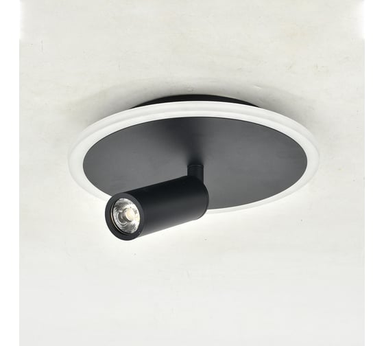 Настенно-потолочный свет ESCADA 20046SMA/01 LED 20W 4000K черный 20046SMA/01LED BK