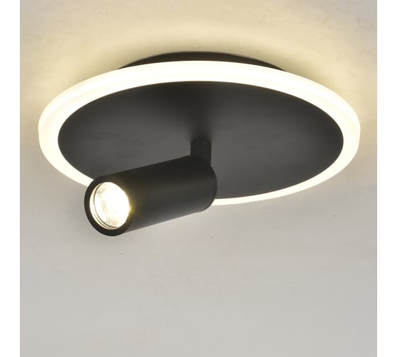 Настенно-потолочный свет ESCADA 20046SMA/01 LED 20W 4000K черный 20046SMA/01LED BK