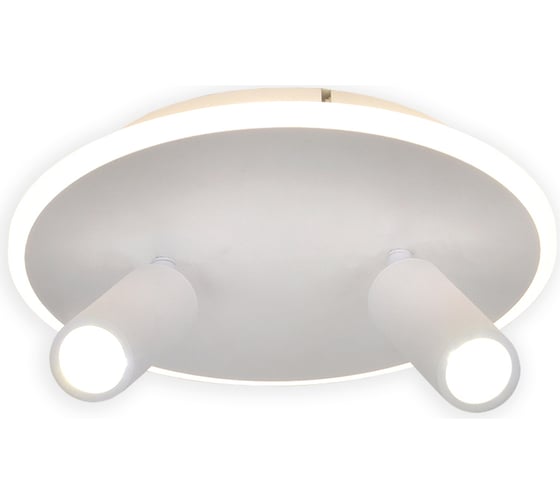 Настенно-потолочный свет ESCADA 20046SMA/02 LED 28W 4000K белый 20046SMA/02LED WH 1