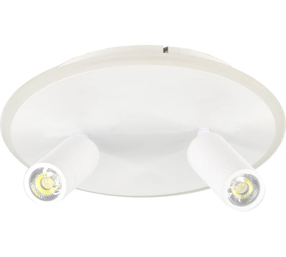 Настенно-потолочный свет ESCADA 20046SMA/02 LED 28W 4000K белый 20046SMA/02LED WH