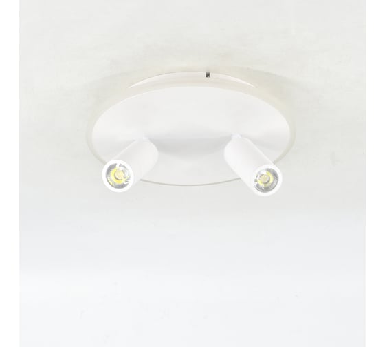 Настенно-потолочный свет ESCADA 20046SMA/02 LED 28W 4000K белый 20046SMA/02LED WH