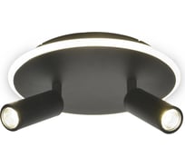 Настенно-потолочный свет ESCADA 20046SMA/02 LED 28W 4000K черный 20046SMA/02LED BK