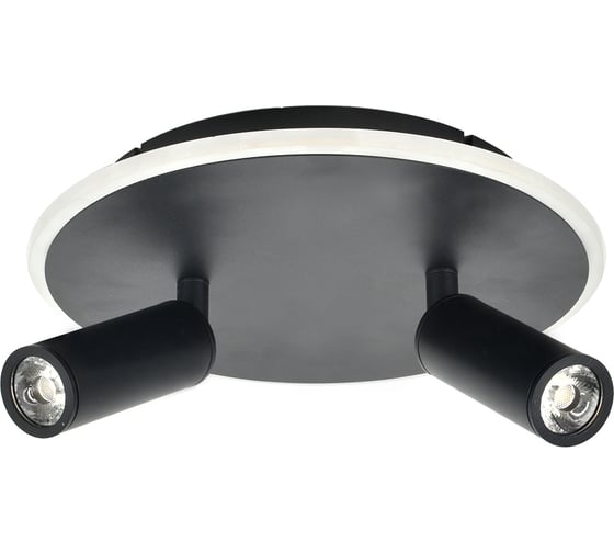 Настенно-потолочный свет ESCADA 20046SMA/02 LED 28W 4000K черный 20046SMA/02LED BK