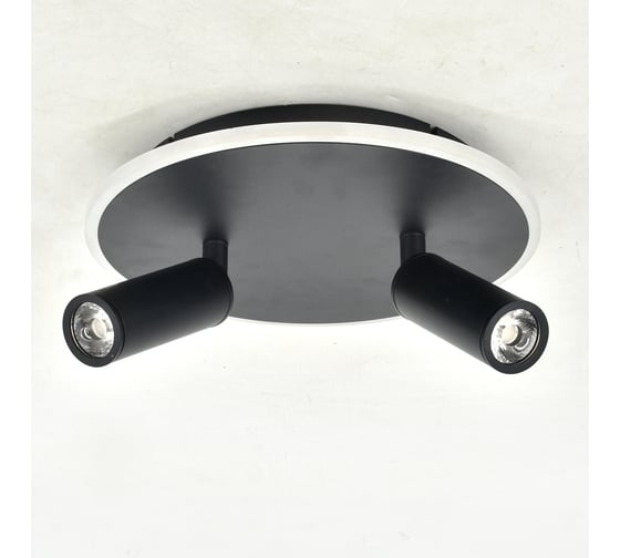 Настенно-потолочный свет ESCADA 20046SMA/02 LED 28W 4000K черный 20046SMA/02LED BK