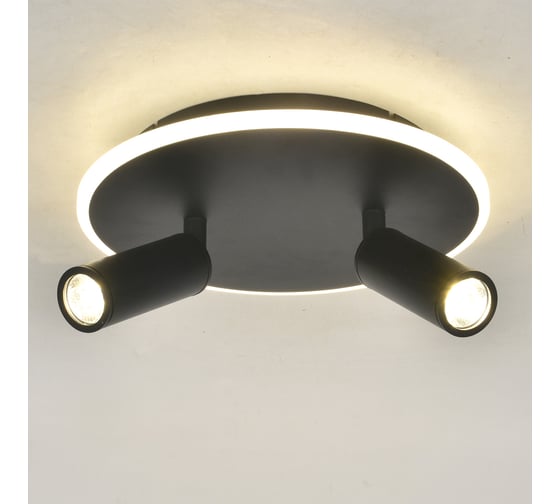 Настенно-потолочный свет ESCADA 20046SMA/02 LED 28W 4000K черный 20046SMA/02LED BK