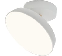 Потолочный светильник ESCADA 20023SMA/01 LED 14W белый 20023SMA/01LED WH