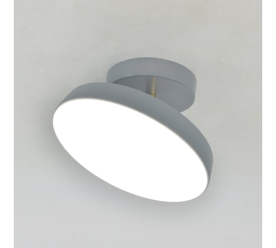 Потолочный светильник ESCADA 20023SMA/01 LED 14W серый 20023SMA/01LED GR