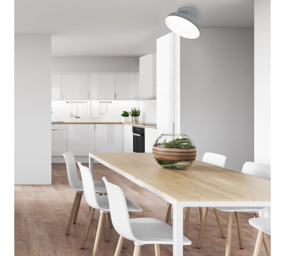 Потолочный светильник ESCADA 20023SMA/01 LED 14W серый 20023SMA/01LED GR