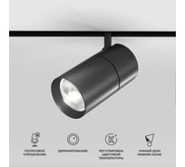 Умный трековый светильник Elektrostandard 20w, 2700-6500k, dim r03, черный 85197/01 slim magnetic a066589