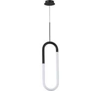 Подвесной светильник ARTE LAMP lumino A2233SP-20BK