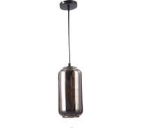 Подвесной светильник ESCADA 10177/1S E27*60W Black/Smoke 10177/1S Black/Smoke