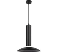 Подвесной светильник (подвес) ЭРА pl14 bk mr16 gu10 потолочный цилиндр, черный Б0061363