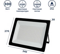 Прожектор светодиодный Сириус А SFL 300W 340x260x30мм 6500K 24000Лм IP65 СириусА SFL-300W-B-65K-2