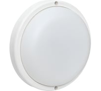 Светильник светодиодный EKF ЖКХ круг ДПО-1004 15Вт 4000K IP65 BKL-1004-R-15-4000