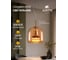 Подвесной светильник ARTE LAMP padova A2404SP-23AM 3