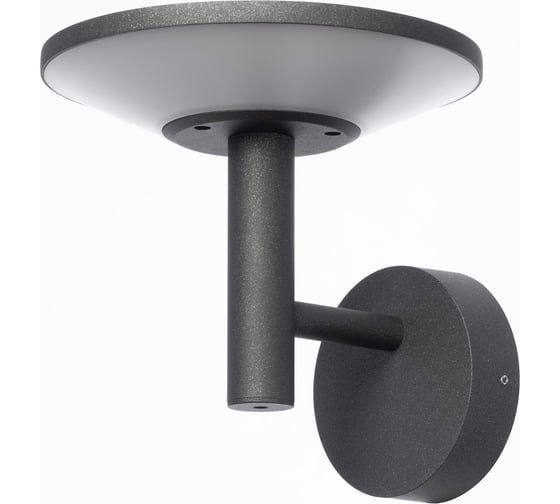 Уличный настенный светильник Citilux Dorn LED Графит CLU05W