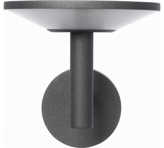Уличный настенный светильник Citilux Dorn LED Графит CLU05W