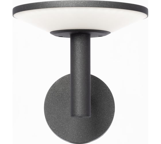 Уличный настенный светильник Citilux Dorn LED Графит CLU05W