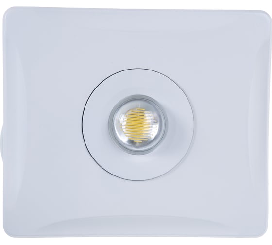 Светодиодный прожектор Uniel ULF-F11-30W/NW IP65 180-240В WHITE UL-00001044