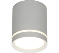 Накладной светильник Omnilux capurso OML-102429-05