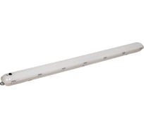 Светильник IEK Pro дсп 1422а 40вт 1ч 6500к ip65 1200мм с бап LDSP6-1422A-1-40-6500-K01