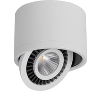 Светодиодный поворотный светильник FERON 15W, 1350Lm, 4000К, 24 градуса, белый, AL523 32702