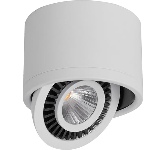 Светодиодный поворотный светильник FERON 15W, 1350Lm, 4000К, 24 градуса, белый, AL523 32702 1