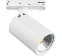 Трековый однофазный светильник Lightstar rullo 212936