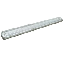 Корпус с рассеивателем TDM ELECTRIC для светильника ЛСП3902С 2x36Вт IP65 SQ0304-0031