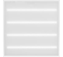 Светодиодная панель универсальная TDM ЛП03 595x595 Опал 19 мм 36 Вт 2900 лм, 4000 К, белая (б/п) Народная SQ0329-0609