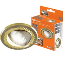 Встраиваемый светильник TDM ELECTRIC поворотный СВ 02-02 MR16 50Вт G5.3 матовый никель/золото SQ0359-0004