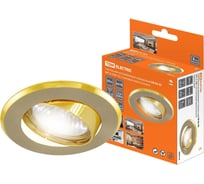 Встраиваемый поворотный светильник TDM ELECTRIC СВ 02-03, MR16, 50Вт, G5.3, матовый никель/золото SQ0359-0009