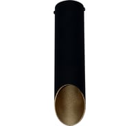 Светильник потолочный ЭЛЕТЕХ Соната 112 черн./зол. НПБ 01-25-102 G9 [ИМ] 1005405289