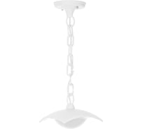 Светильник уличный LED TDM ELECTRIC "СИТИ" 8 Вт 230 В 6500 К подвесной белый SQ0330-1335