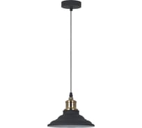 Подвесной светильник Camelion PL-600 Loft C67 черный+старинная медь 13414