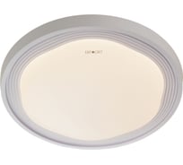 Потолочный светильник Eurosvet 40006 1 LED белый a040556
